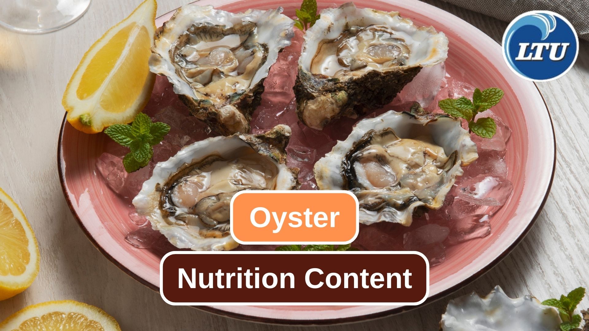 Here Are Some Essential Nutrition from Oyster 